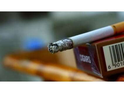 (蓝肖出特打一个生肖动物是什么生肖)两人很适宜的表現有什么八字命