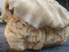 (十大仙草药排名)十大仙草药排名 冬虫夏草上榜 铁皮石斛夺冠