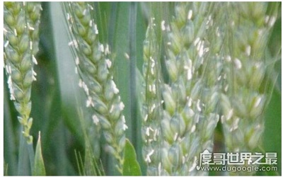 QQ图片20230629145820