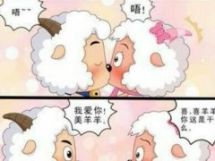(喜羊羊喜欢美羊羊吗)不喜欢未来的它们并没有结婚