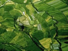(1公顷等于多少平方米等于多少亩)1万平方米15亩土地的面积单位