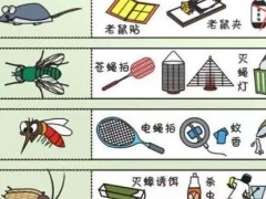 (四害是指哪4种)苍蝇蚊子老鼠蟑螂麻雀曾经也是四害之一