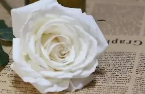 微信截图_20230719151255