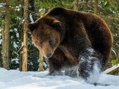 (笑到肚子痛的100个笑话)超级幽默爆笑冷笑话大全哄女朋友开心