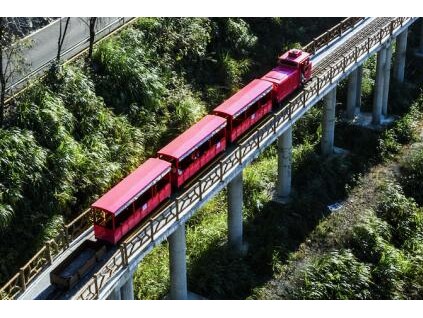 疑因打车价格与司机争执 女子跳车倒地不起