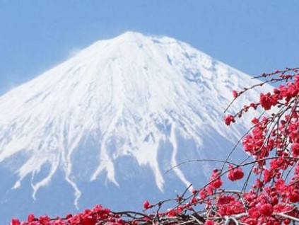 黑龙江又一地疑发现东北虎地面留有脚印 当地政府表示正核实具体情况